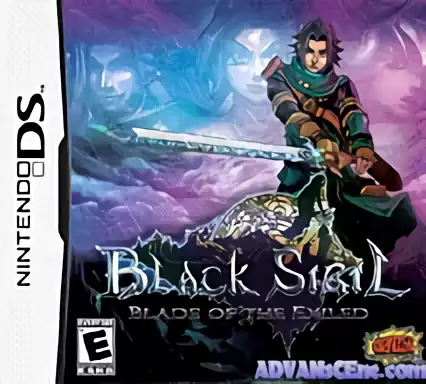 Image n° 1 - box : Black Sigil - Blade of the Exiled